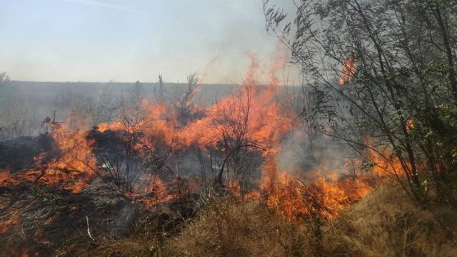 Incendiu de proporții în raionul Șoldănești. Peste 100 hectare de iarbă uscată au fost cuprinse de flăcări