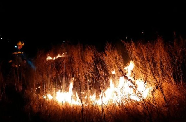 Пожарные ликвидировали более 100 очагов возгорания сухой растительности