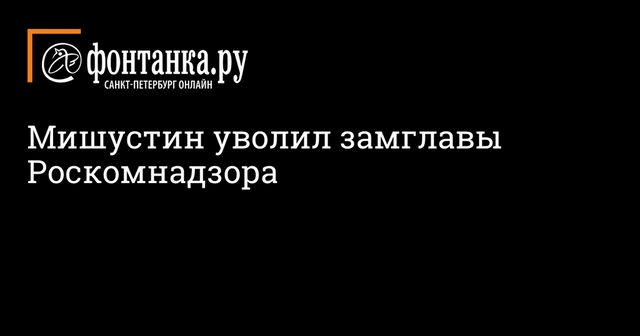Мишустин уволил замглавы Роскомнадзора