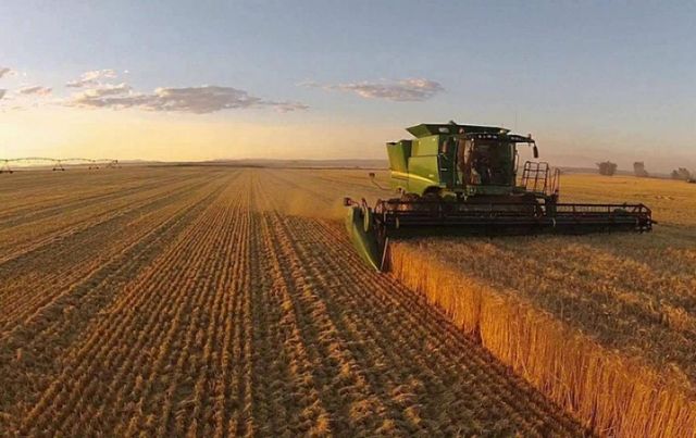 Молдова получит грант в размере 1,9 млн евро от Японии для поддержки фермеров