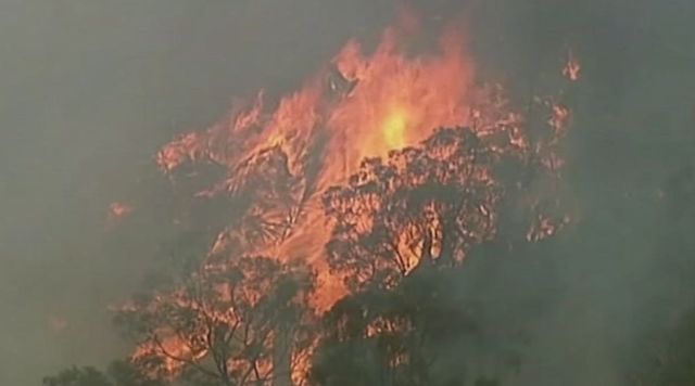 Australia, maxi-incendio a Canberra. «Troppo tardi per evacuare, restate in casa»