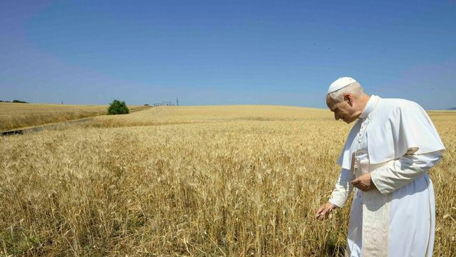 Papa: mettiamoci insieme per cercare soluzioni alla guerra