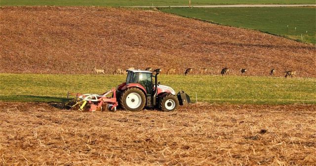 Barbu: Propunerea de înjumătățire a cantității de pesticide folosite în agricultură, respinsă în Parlamentul European