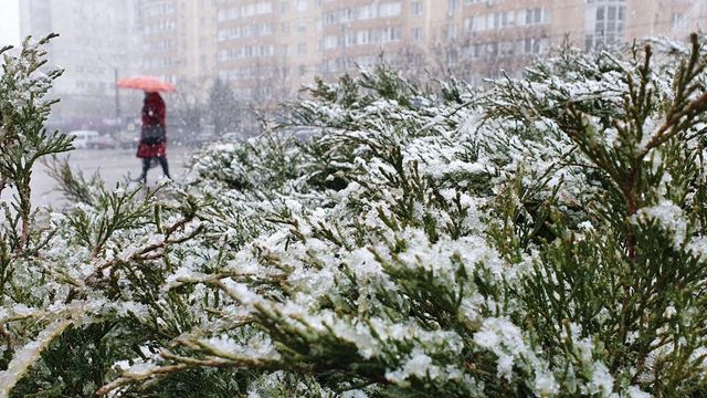 Prima ninsoare a căzut peste Moldova, chiar în prima zi de iarnă
