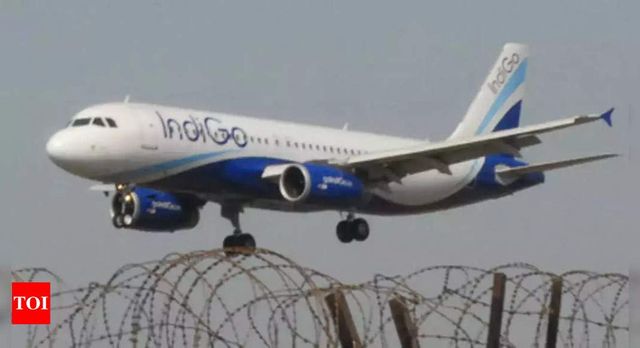 IndiGo Passenger Who Tried To Open Plane’s Emergency Door Mid-Air Is Depressed, Wanted To Jump
