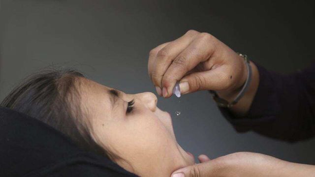 Scientists looking at tuberculosis, polio vaccines to ward off coronavirus, says report