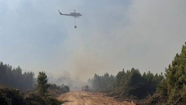 Muere un bombero forestal en un accidente de tráfico cuando se dirigía al incendio de Ávila