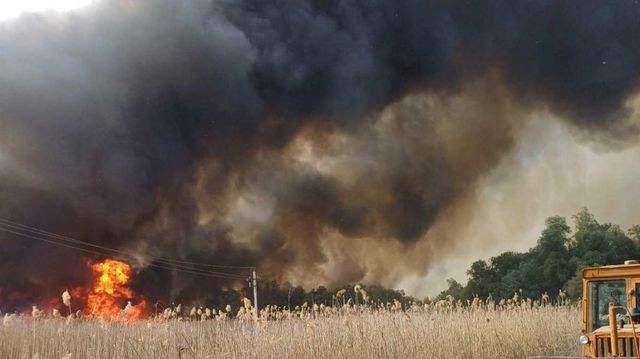 Incendiu de vegetație periculos lângă o sondă petrolieră din Văleni: Circa 30 de pompieri luptă cu flăcările