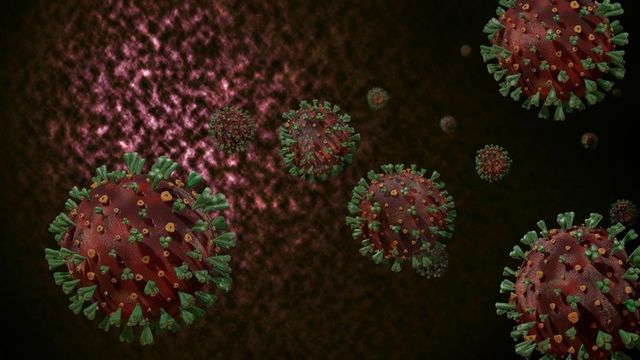 Britská mutace koronaviru v Česku: Prymula řekl, co hrozí