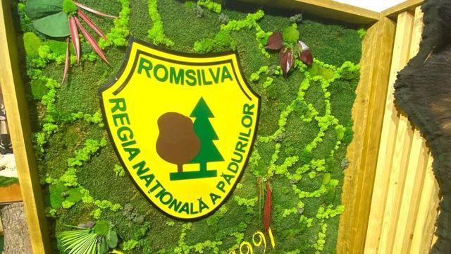 Raport devastator la Romsilva: Pierderi financiare uriașe și prime nejustificate. Sesizare la Parchetul General