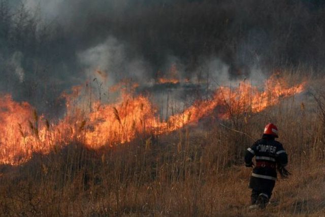Amenzi de peste 1,25 milioane lei pentru arderea vegetației uscate