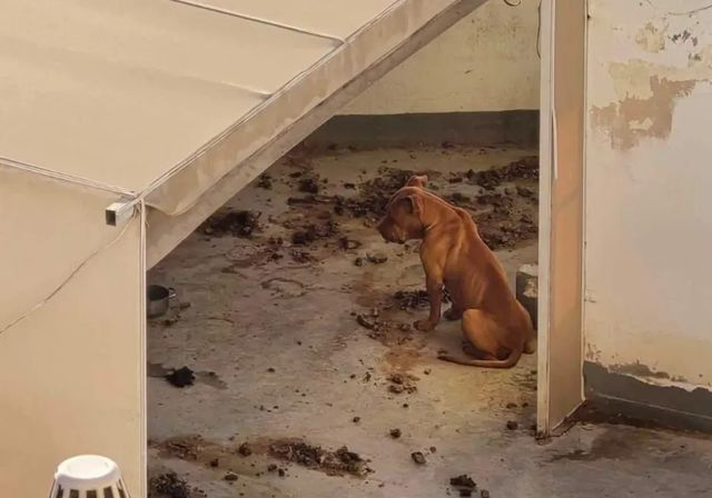 La fortuna cae en Las Palmas de Gran Canaria con la Bonoloto