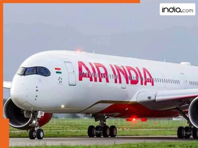 Newark-Bound Air India Plane Returns To Mumbai After Technical Issue