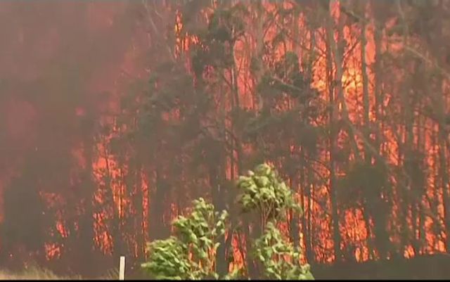 Trei morți și 150 de locuințe distruse în urma incendiilor de vegetație din Australia