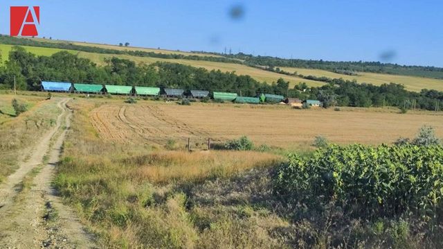 Шесть вагонов с зерном сошли с рельсов на юге Молдовы
