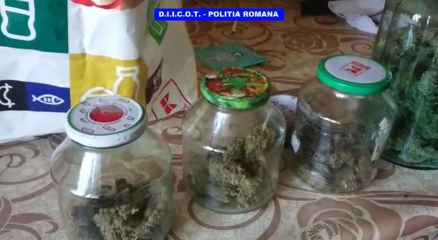 Fost handbalist de la Dinamo, Baia Mare și Făgăraș acuzat de trafic de droguri!
