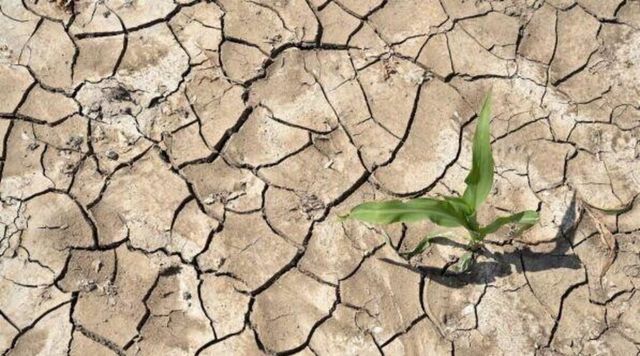 Luglio sarà il mese più caldo mai registrato