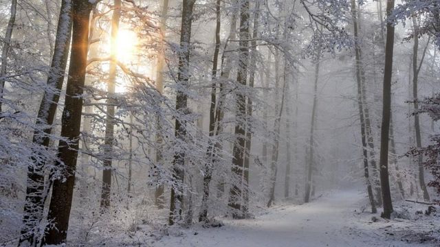 Cod portocaliu de viscol și ninsoare în zonele montane înalte