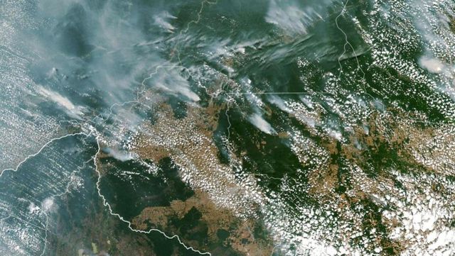Numărul incendiilor de pădure a crescut cu 83% în Brazilia, în special în Amazonia