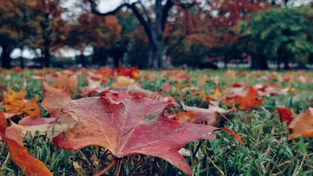 Vreme stabilă, dar cu cer noros: Câte grade vor fi astăzi, conform meteorologilor