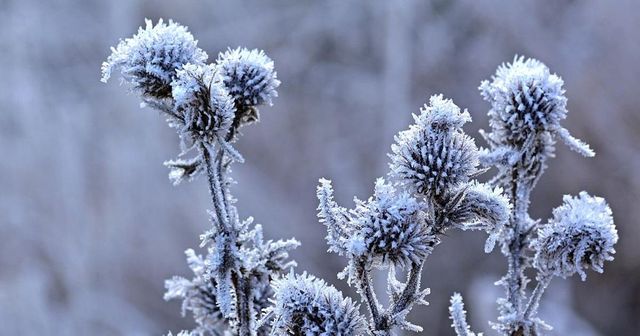 Ráno bylo na několika místech rekordně chladné, na Šumavě mrzlo