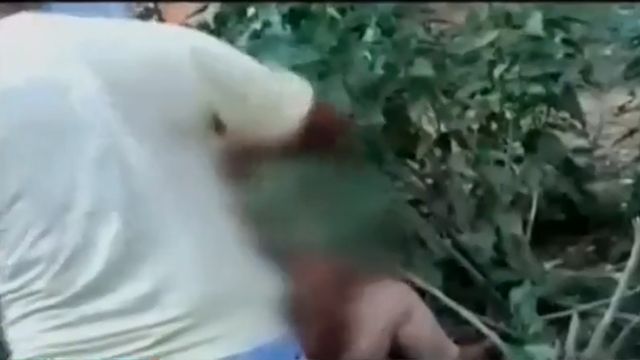 Five arrested for lynching man to death in Jharkhand