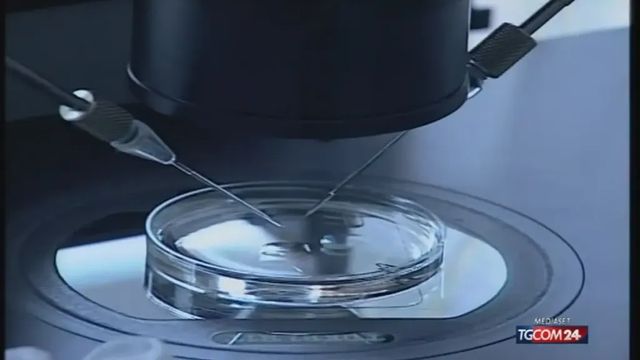 Procreazione assistita, incostituzionale impedire a madre intenzionale di riconoscere il figlio