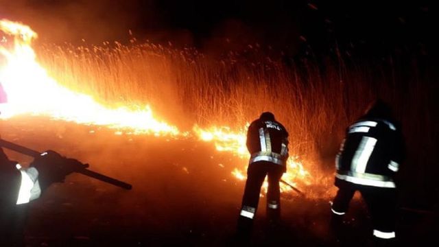 75 de incendii de vegetație, lichidate de pompieri doar în ultimele 24 de ore în mai multe raioane ale țării