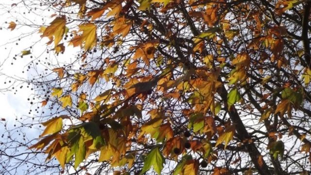 Prognoza meteo pe regiuni, valabilă în următoarele două săptămâni. Vremea se răcește de la 1 octombrie