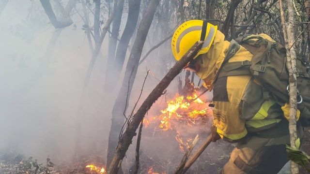 Las brigadas de refuerzo de incendios forestales participarán en labores preventivas durante el invierno