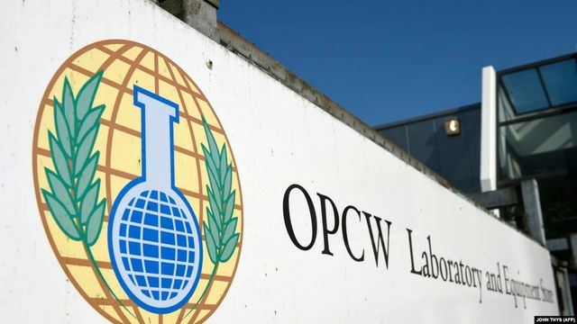 WikiLeaks усомнилась в расследовании химатаки в Думе