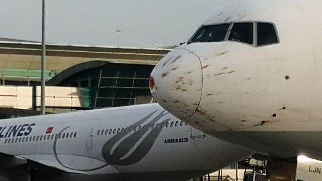Un stol de păsări a întors din drum un avion cargo din Turcia