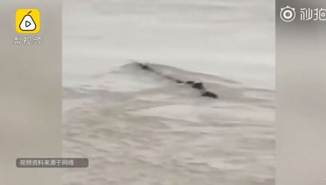 Kínának is van már saját Loch Ness-i szörnye