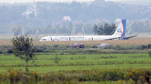 Посадившему самолет на кукурузном поле экипажу подарили квартиры