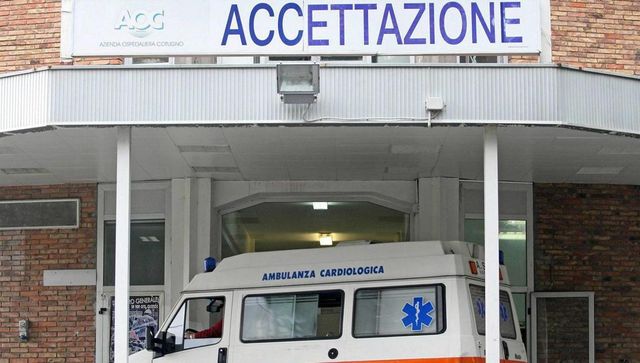 Pitbull aggrediscono bambina con la nonna vicino a Agliana