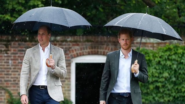 Princes William, Harry dismiss false report alleging reason for royal split