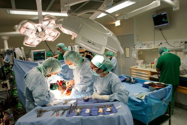 Primul rinichi de porc transplantat la un pacient în viață