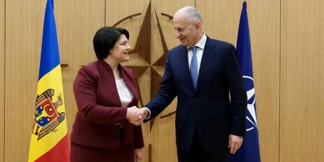 Gavrilița și Geoană au discutat despre cooperarea NATO - R. Moldova