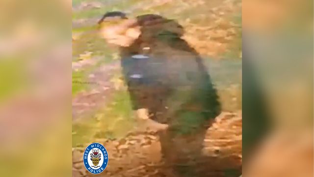 Indian-origin woman, 20, raped in UK, cops call it racially motivated