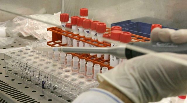Nuova influenza suina, primo caso nell'uomo