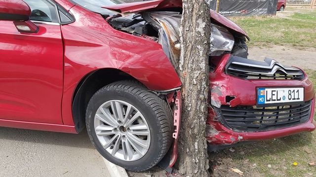 Уставший водитель врезался в дерево в Дрокиевском районе