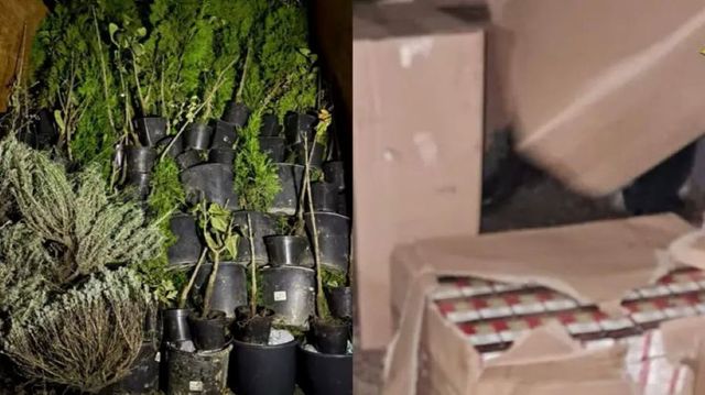 30 de zile de arest pentru cele șase persoane reținute în schema de contrabandǎ cu peste 1,8 milioane de țigări