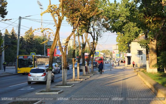 Все стабильно — курс валют в Молдове на вторник, 24 октября