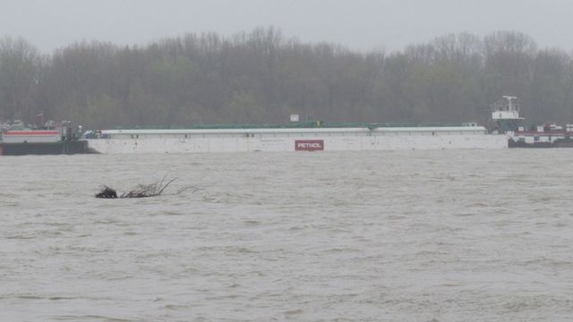 Круизен кораб с над 200 души на борда заседна в река Дунав