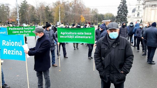 Peste 100 de agricultori din țară protestează în fața Guvernului