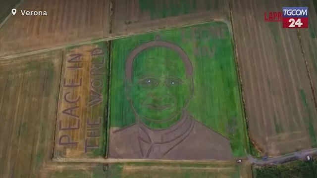 Leone XIV, l’effigie del Papa disegnata con un trattore
