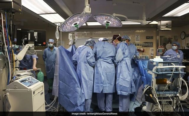 In a first, US surgeons transplant pig kidney into human