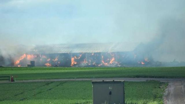 Около 100 тысяч кур сгорели при пожаре в Швеции
