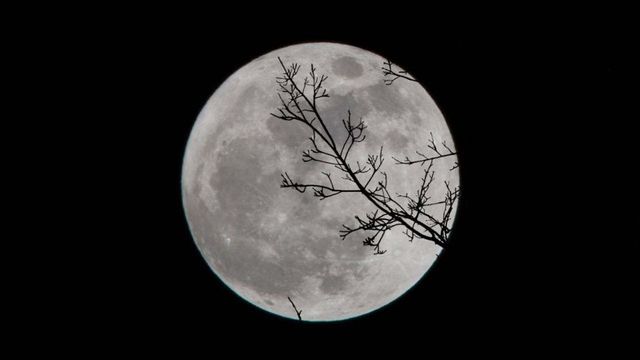 Super Snow Moon to Be Visible Tonight, the Biggest Super Moon of 2019