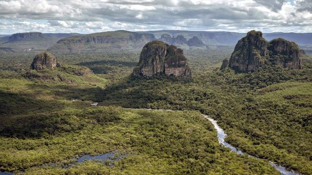 Norvégia sem finanszírozza tovább az erdővédelmet Brazíliában